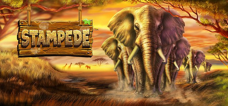 Betsoft’s STAMPEDE Rumbles onto the Scene