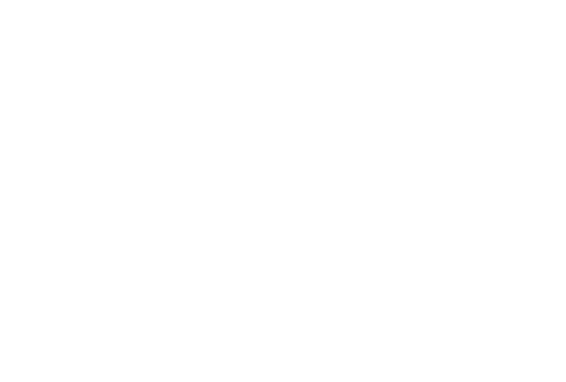 Pirate 21