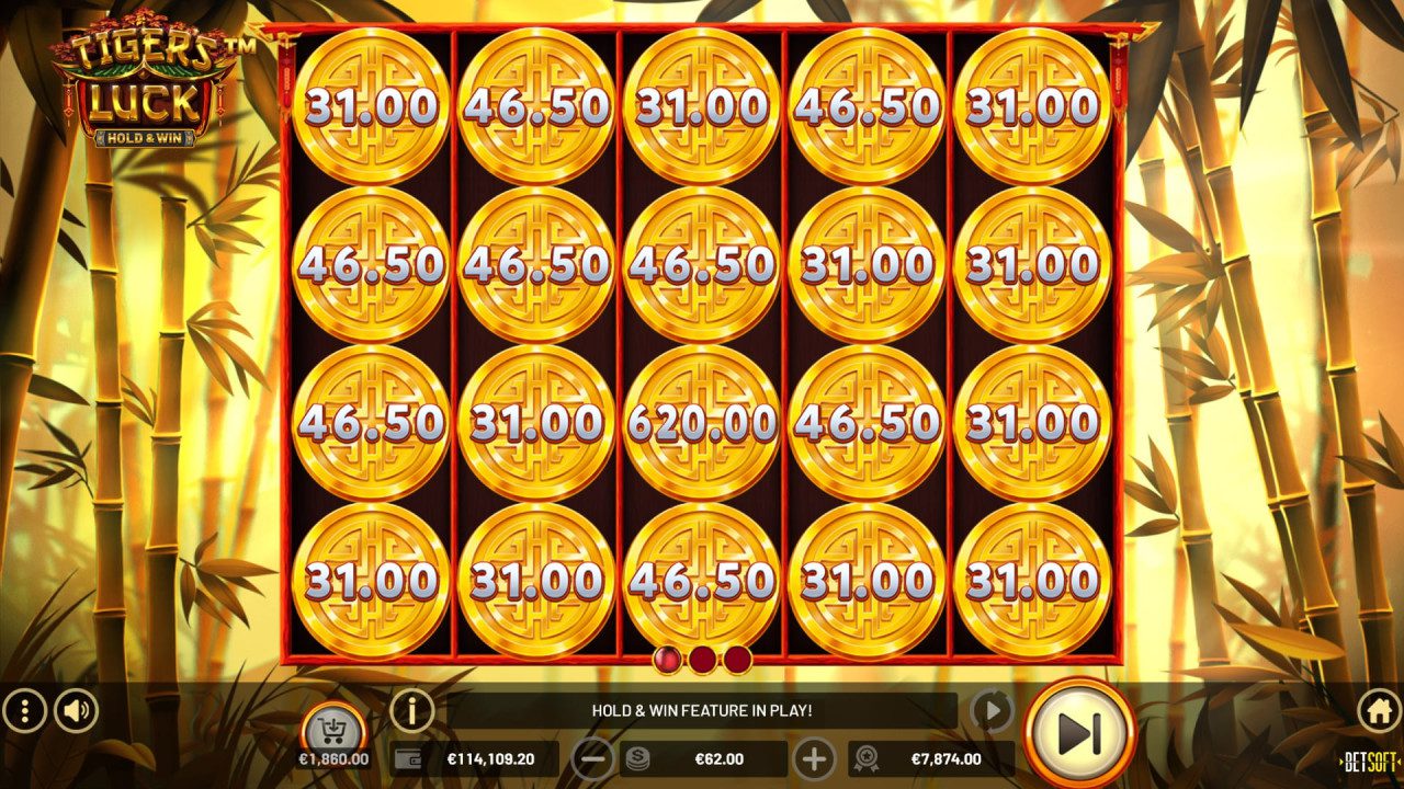Tiger's Luck - Hold & Win